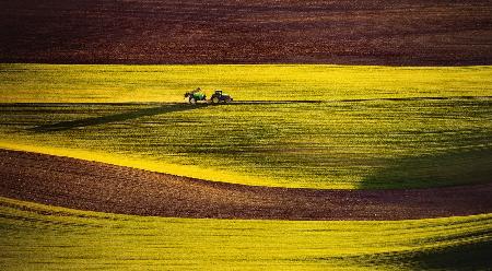 Trackor in the field