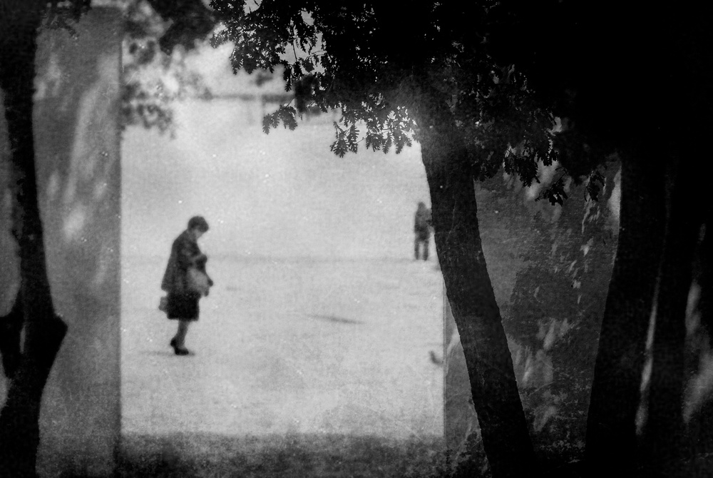 Serendipity von Milena Seita