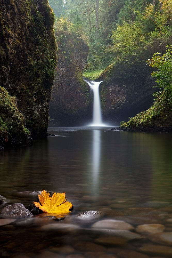 Einsam von Miles Morgan