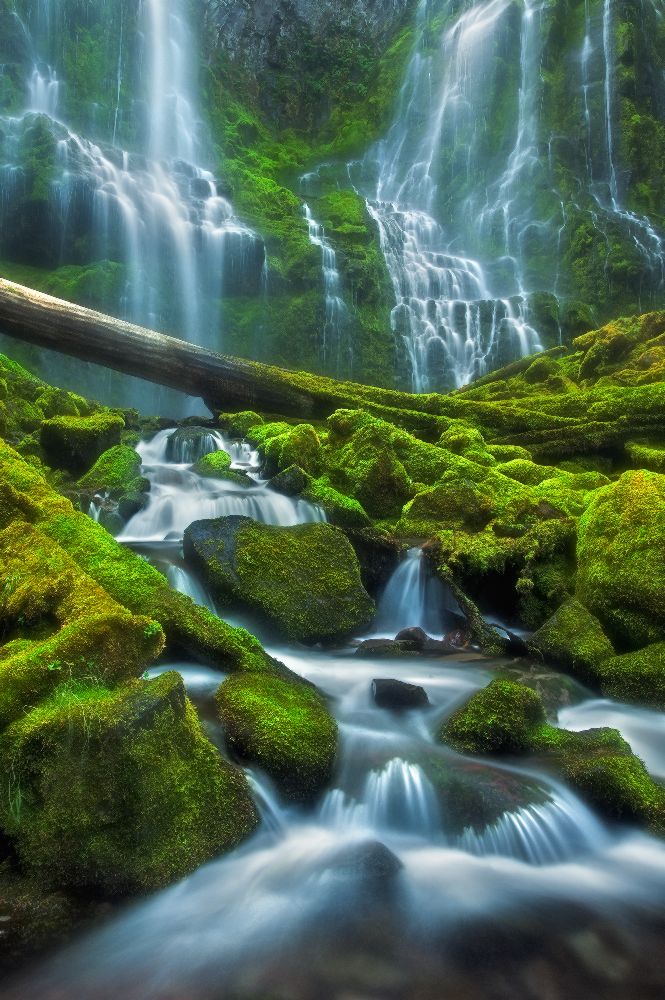 Jurrasic von Miles Morgan