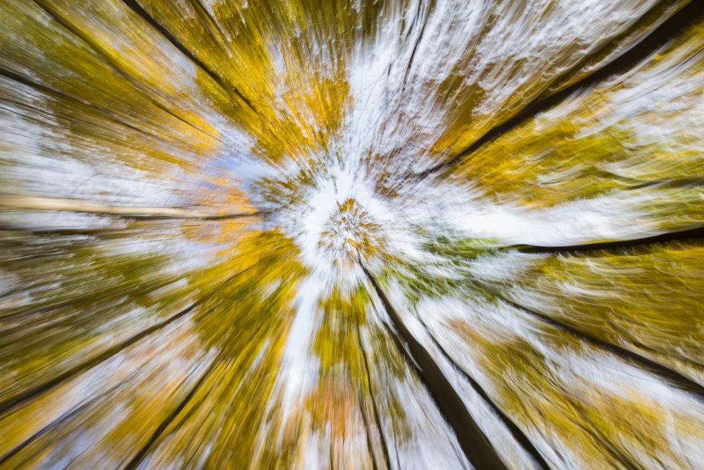 Abstract Autumn von Mircea Costina