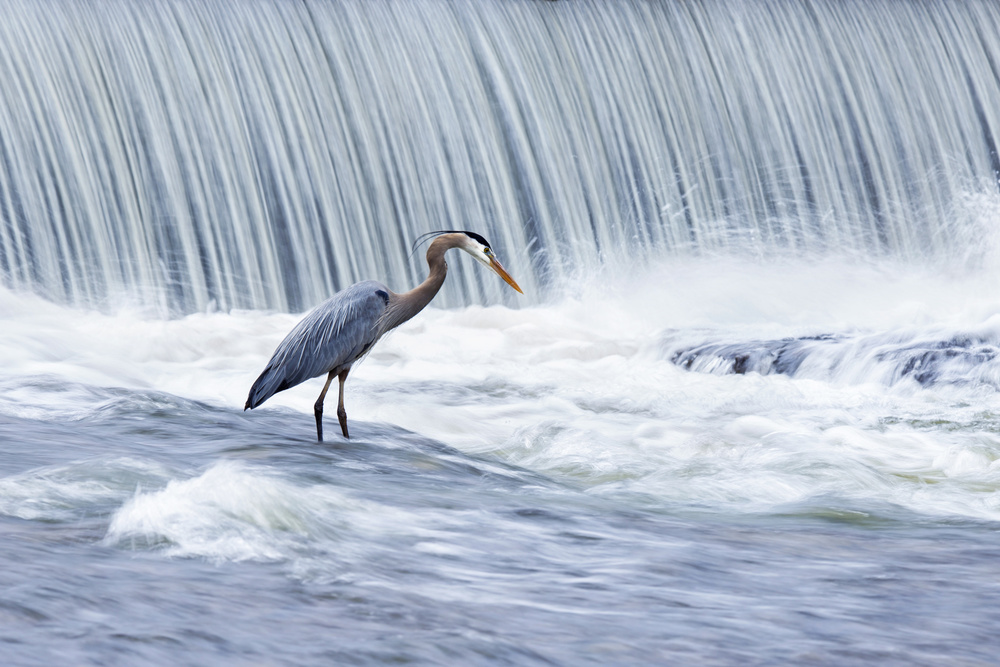 Fishing in stormy waters von Mircea Costina