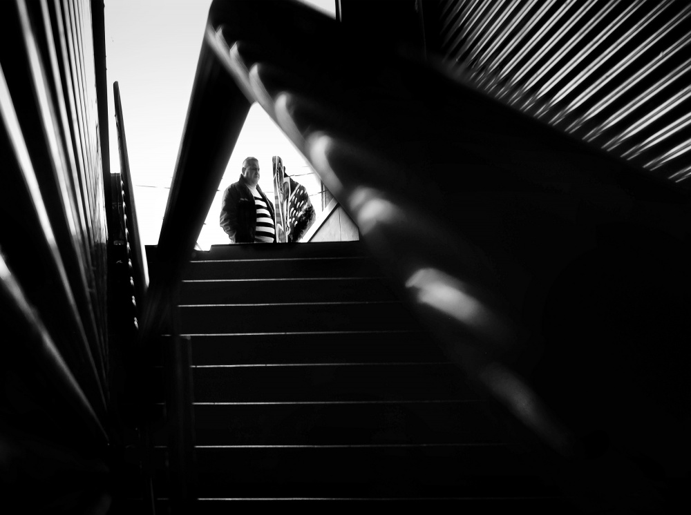 Games of Stripes von Mirela Momanu