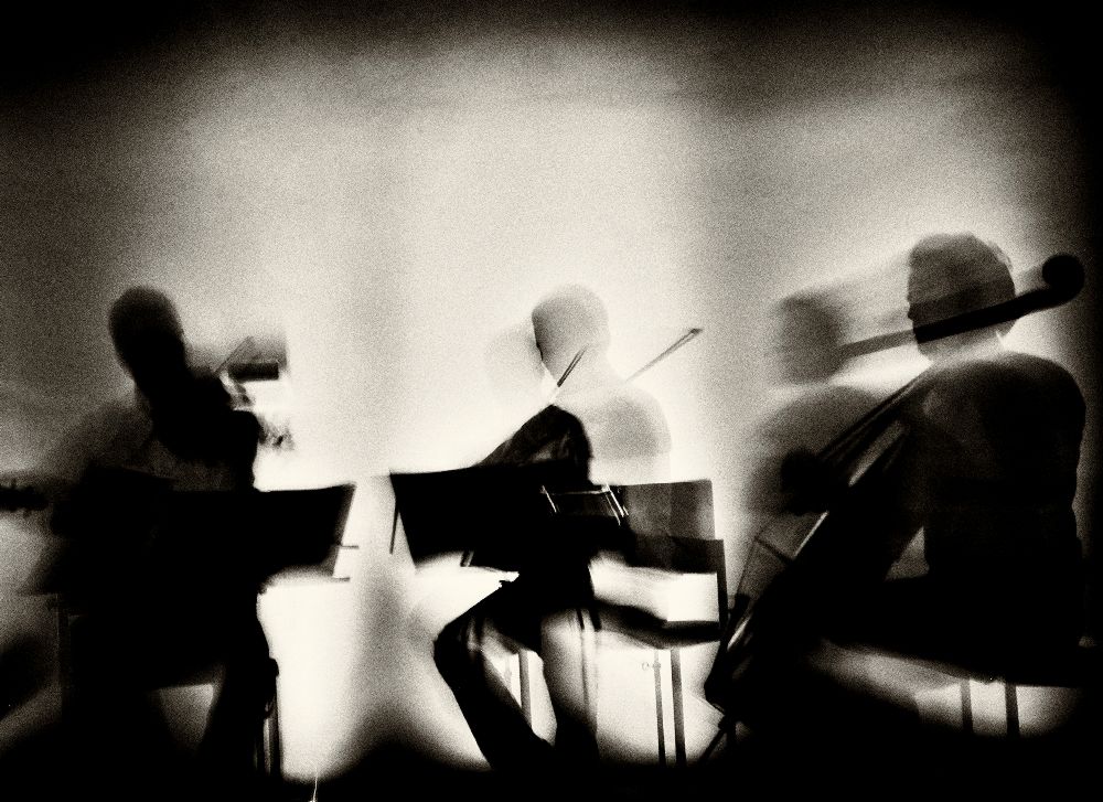 Wellen der Musik von Mirela Momanu