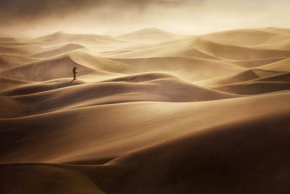 Alone von Mirko Vecernik