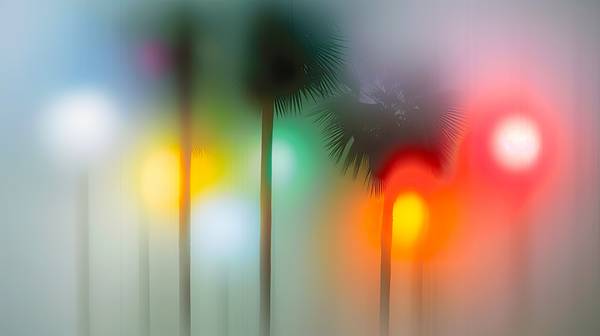 Abstraktes Bild mit unscharfen Palmen und Lichtern auf einem unscharfen Hintergrund von Miro May