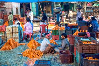 Fruit Market