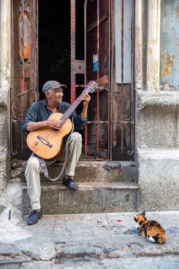 Song for a Cat in Havana, Kuba.