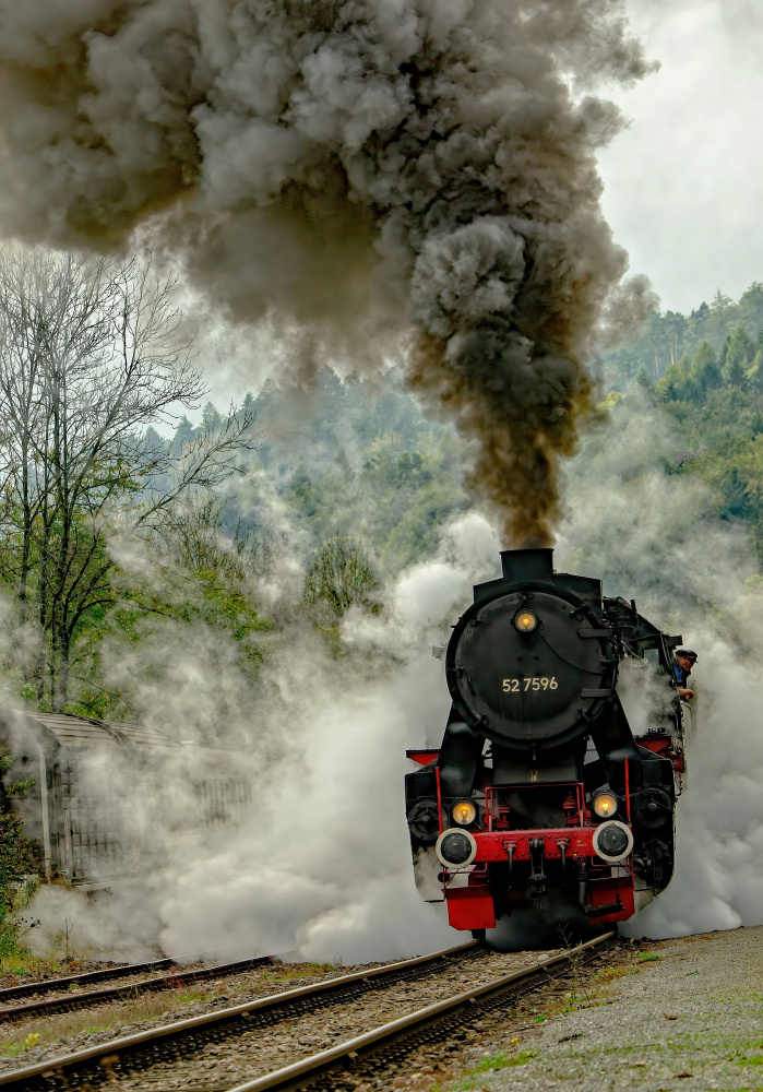 Full steam ahead von Miro Susta