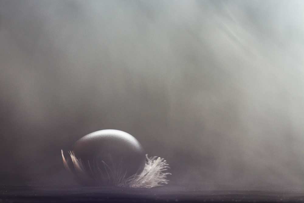 ... von Miroslav Svatos