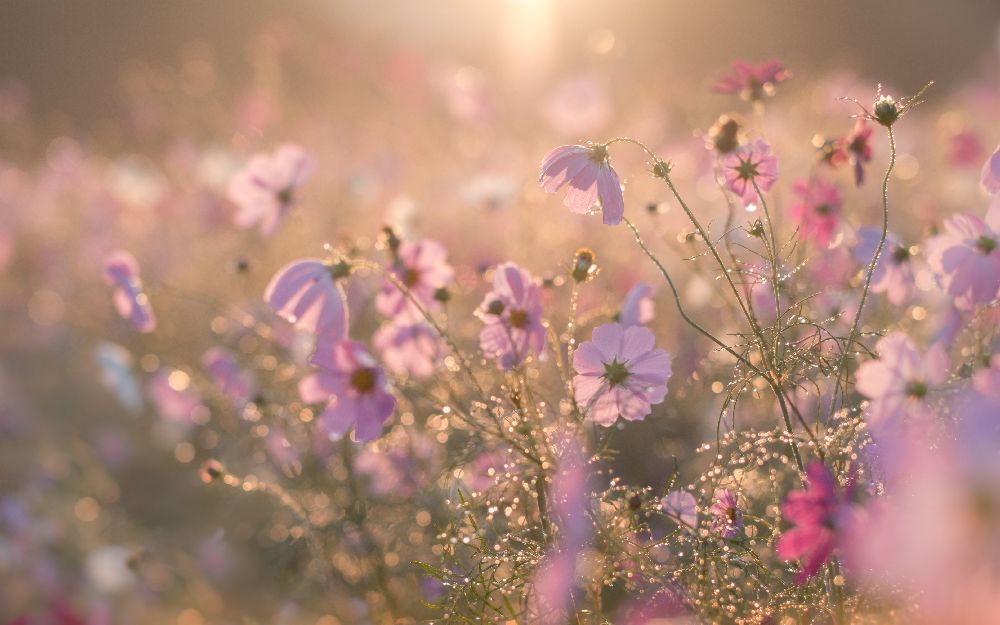 Ohne Titel von Miyako Koumura