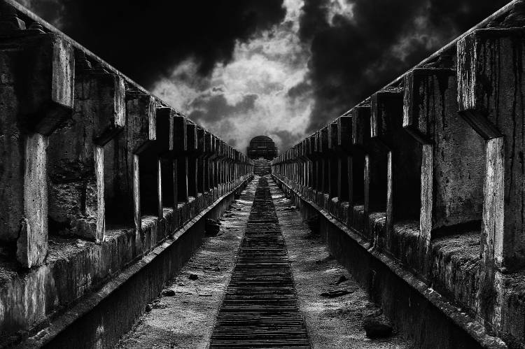 To the train von Mladjan Pajkic