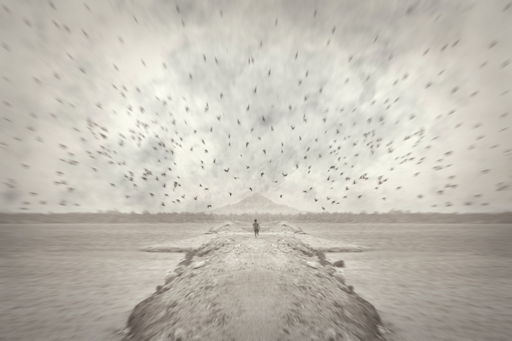 Pursuit of Dreams von Mohamed Fawzy Kutp