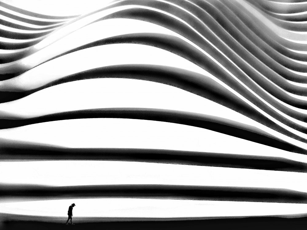 the curvature of loneliness von Mohammad Fotouhi