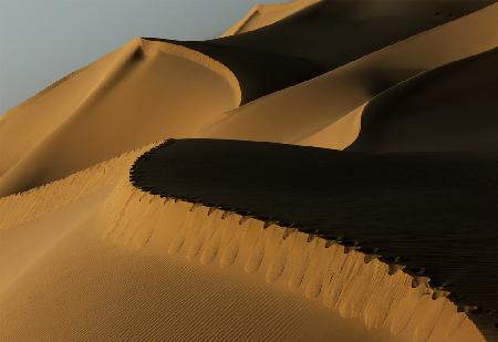 Desert Harmony