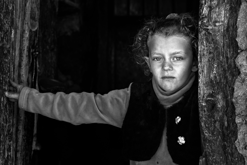 Hoda von Mohammadreza Momeni