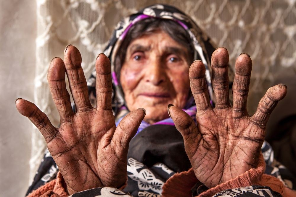 I am a farmer von Mohammadreza Momeni