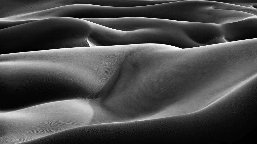 Ladies von Mohammadreza Momeni