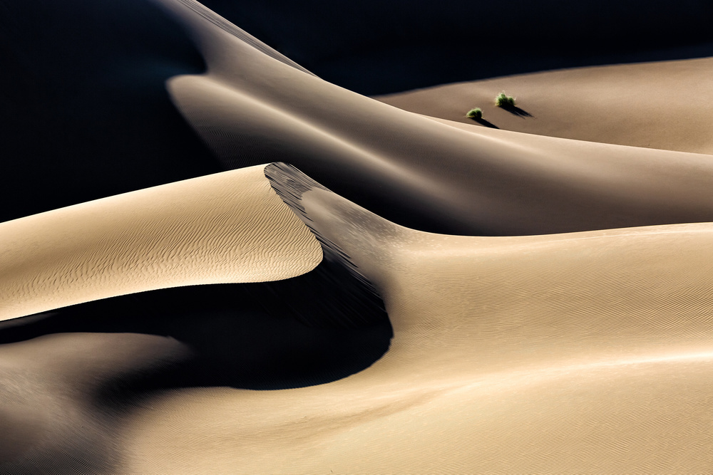 Life von Mohammadreza Momeni