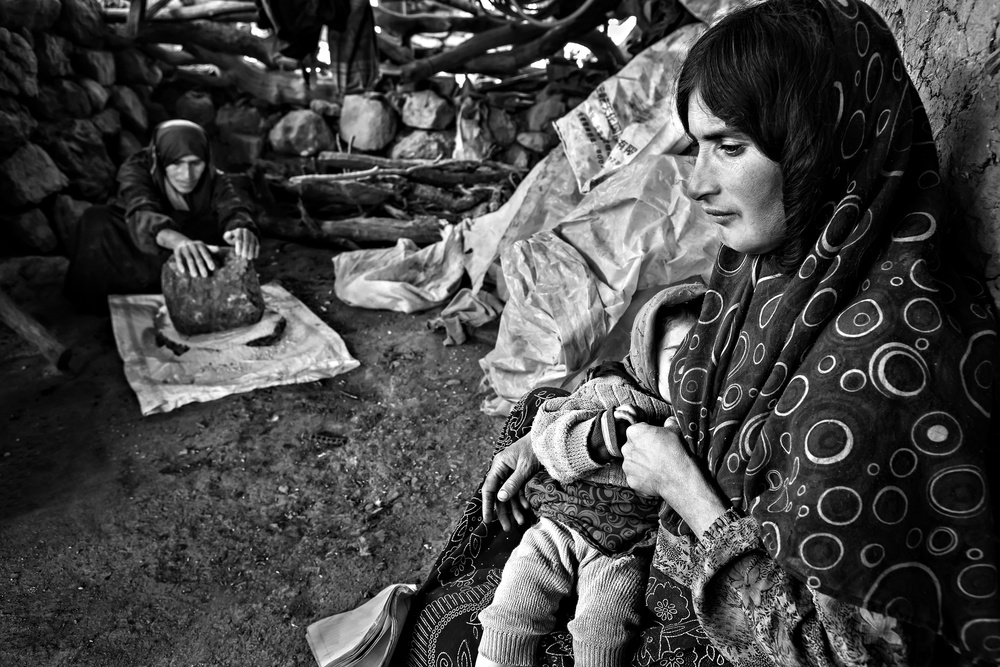 Drinking Milk von Mohammadreza Momeni