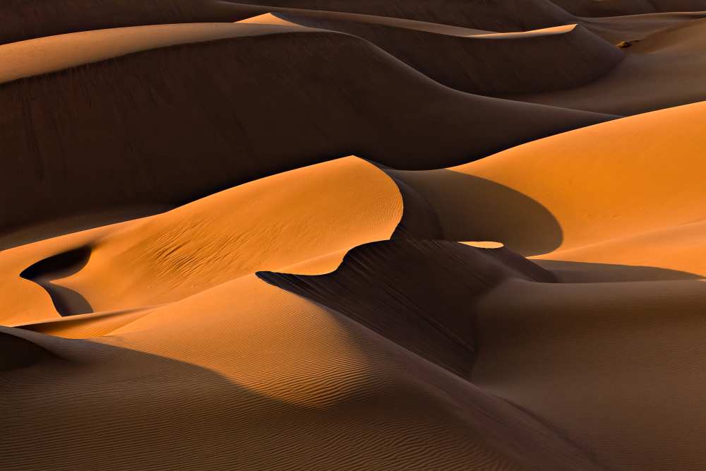 Morning Light von Mohammadreza Momeni