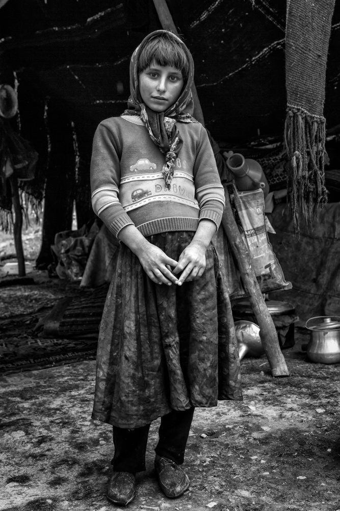 untitledl von Mohammadreza Momeni