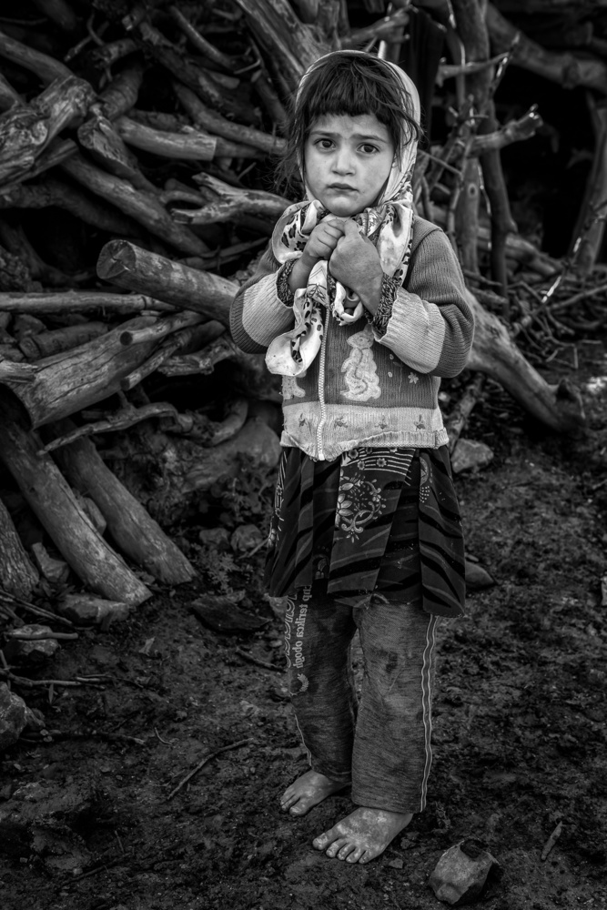 untitledl von Mohammadreza Momeni