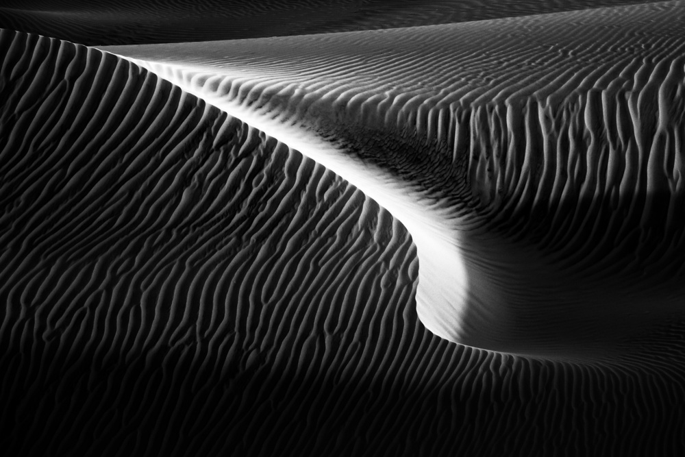 untitledl von Mohammadreza Momeni