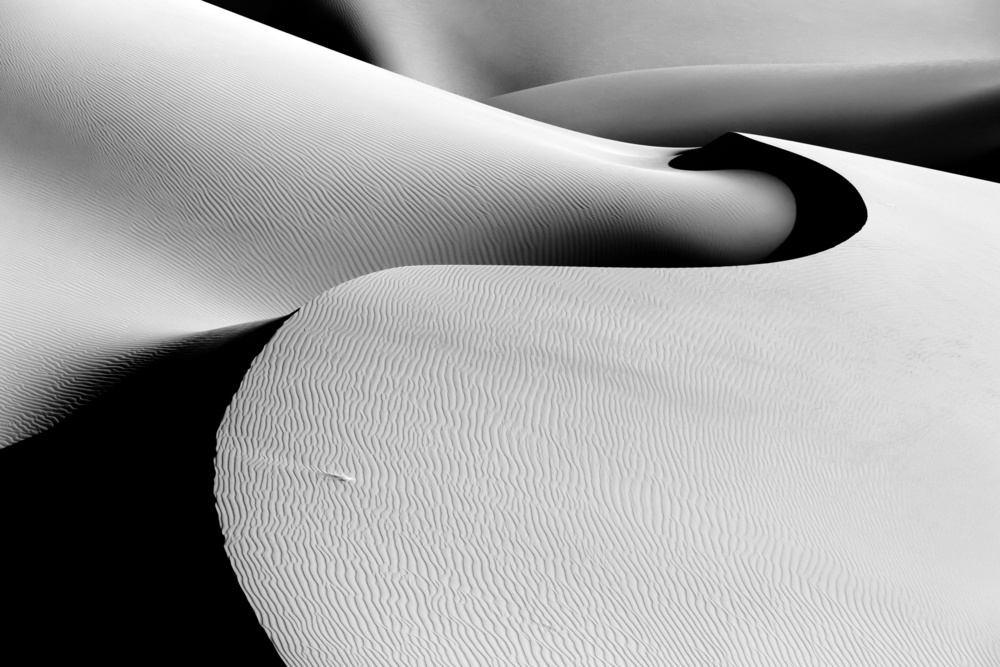 untitledl von Mohammadreza Momeni