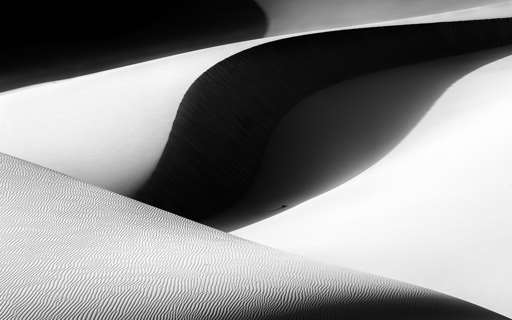 untitledl von Mohammadreza Momeni