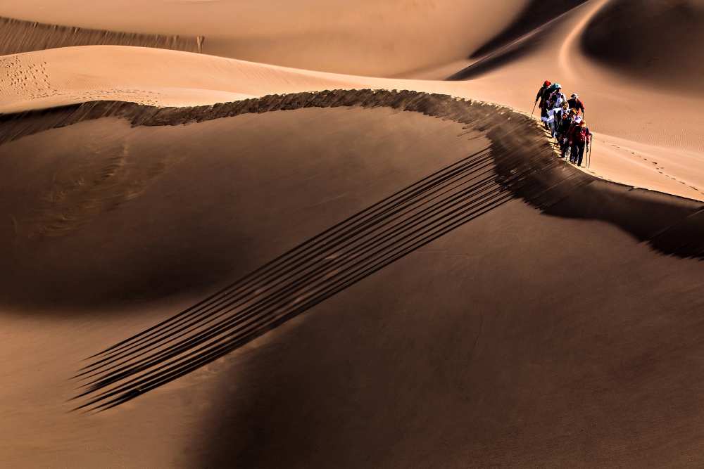 Parallel von Mohammadreza Momeni