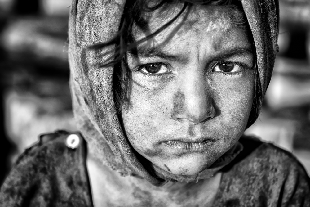 Sunlight von Mohammadreza Momeni