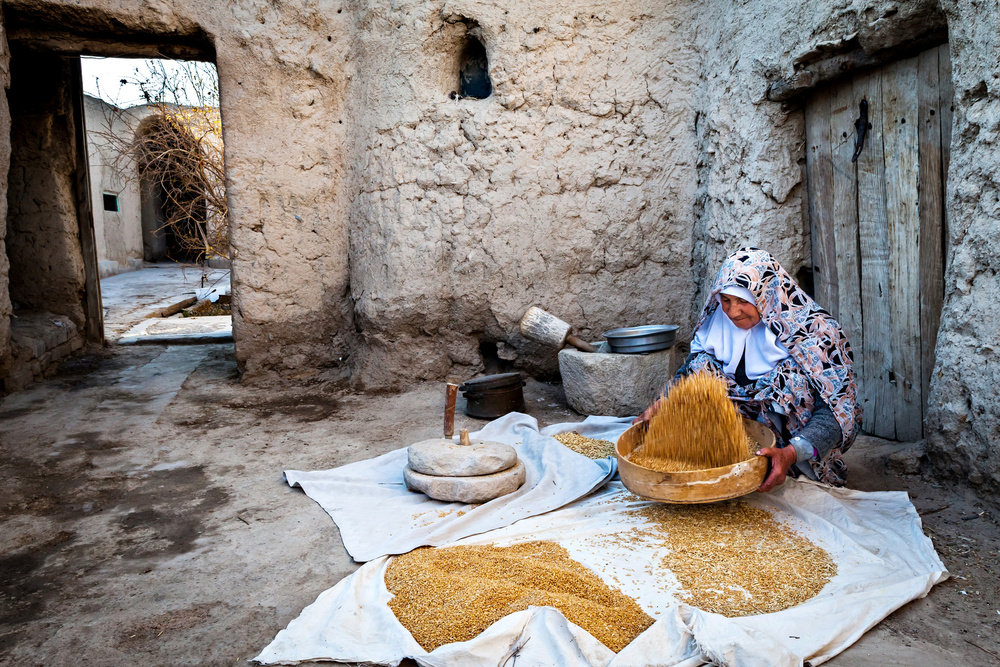 Wheat for Flour von Mohammadreza Momeni