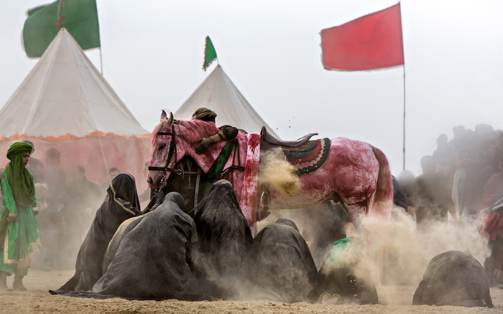 Zuljanah I von Mohammadreza Momeni