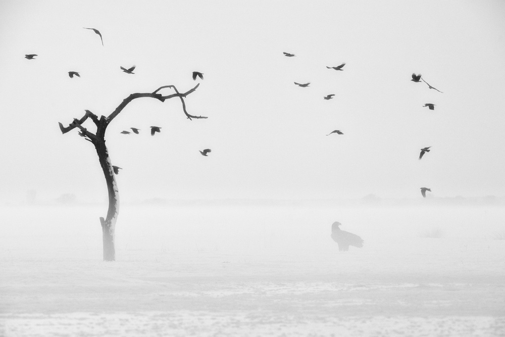 Goodbye von Mohammed Alnaser