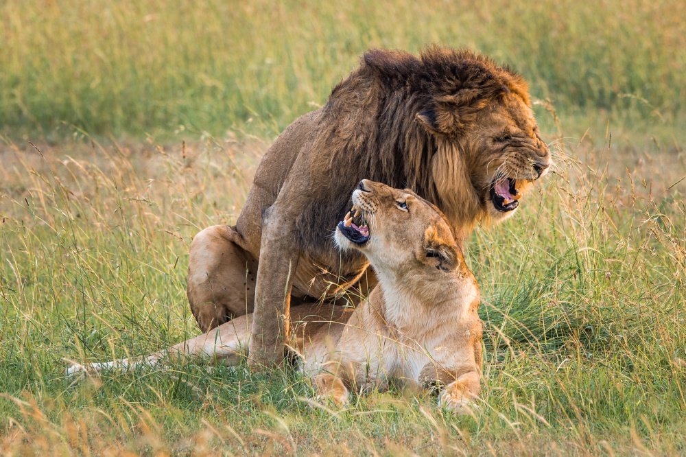 That Moment von Mohammed Alnaser