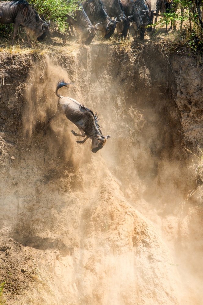 Down there von Mohammed Alnaser