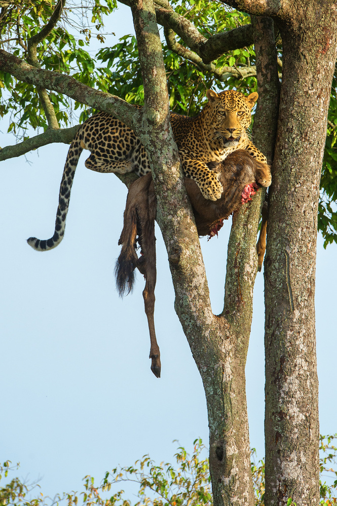 Hands on prize von Mohammed Alnaser