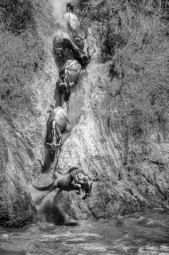 In Order von Mohammed Alnaser