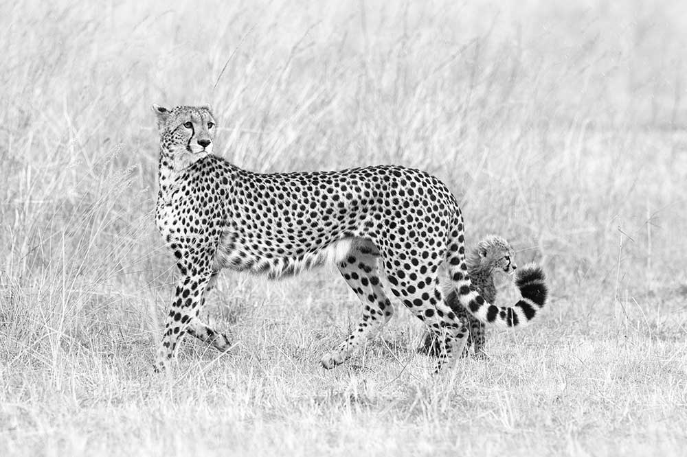 Meine Mutter und ich von Mohammed Alnaser