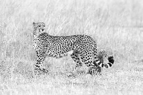 Meine Mutter und ich