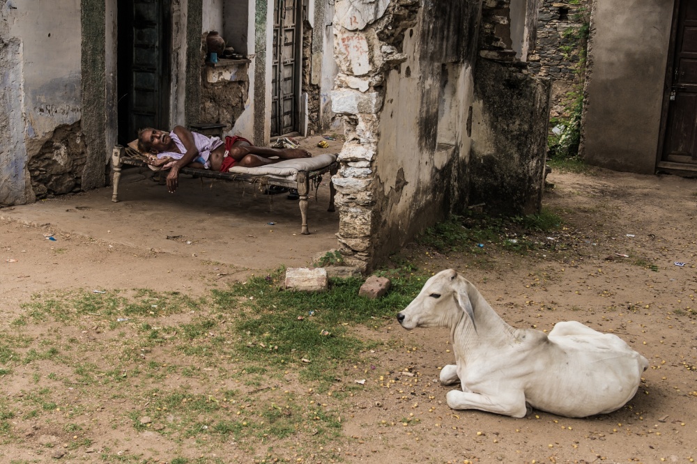 Nap Time von Mohammed Alnaser