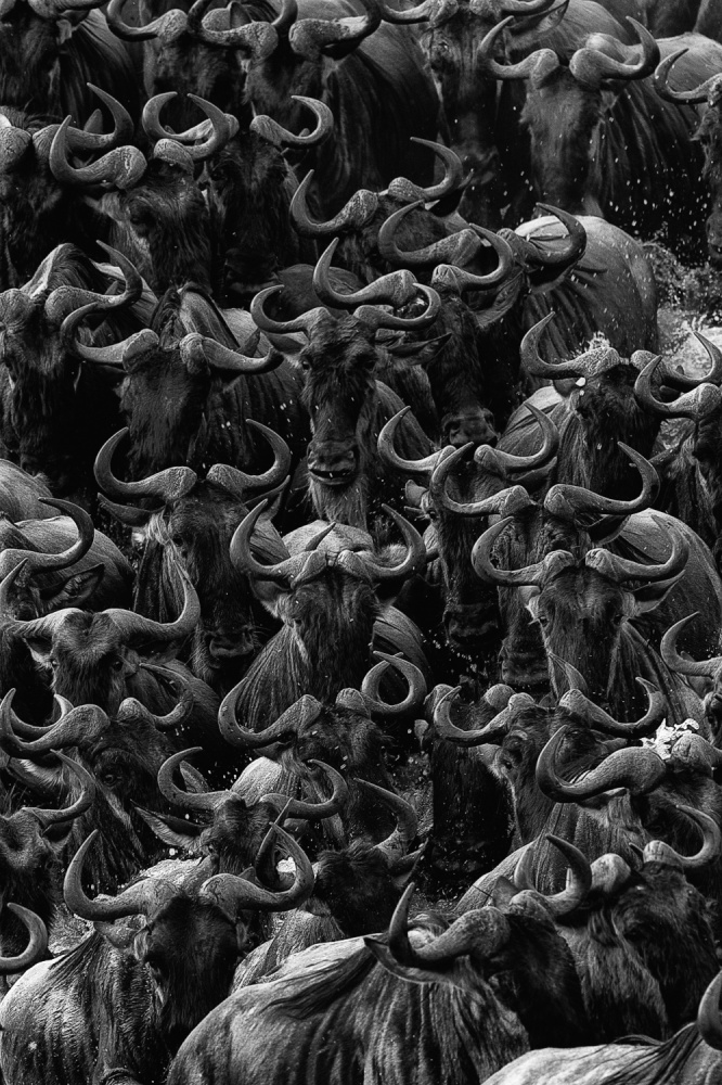 Duty von Mohammed Alnaser