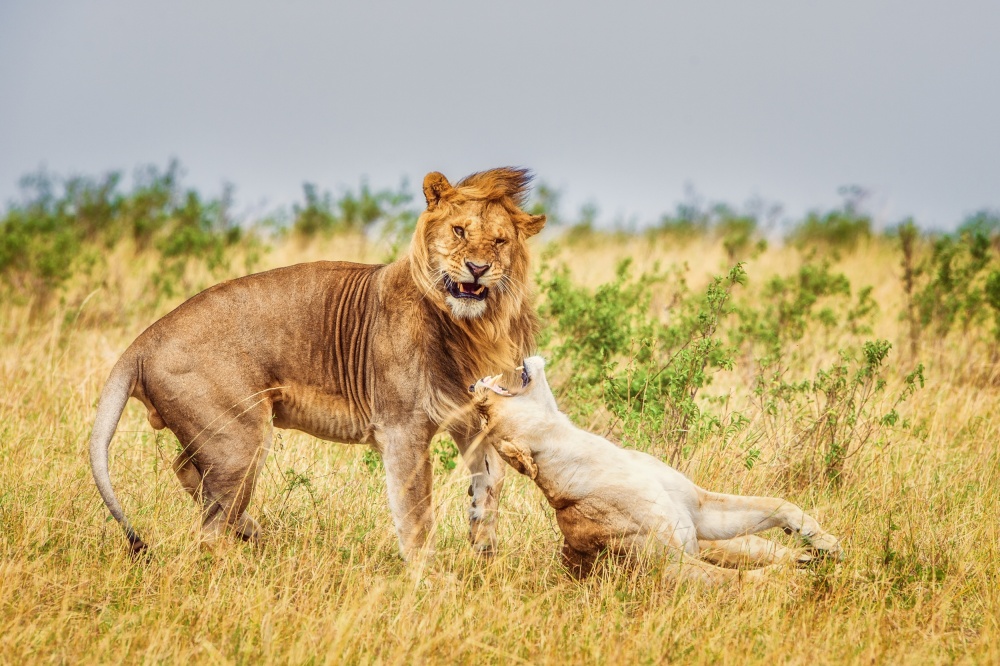 Bad Timing von Mohammed Alnaser