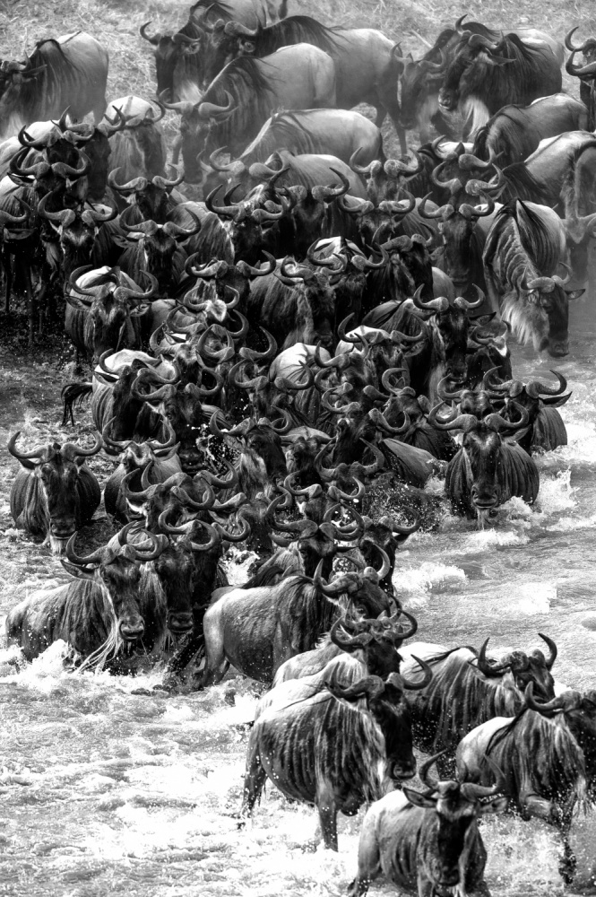 Together von Mohammed Alnaser