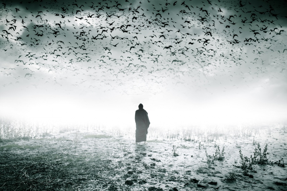 	 insurrection von Mojtaba Jahani