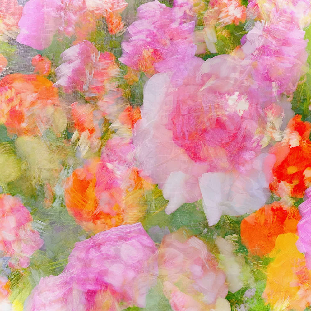 My Rose Garden Impression von Molly Fu