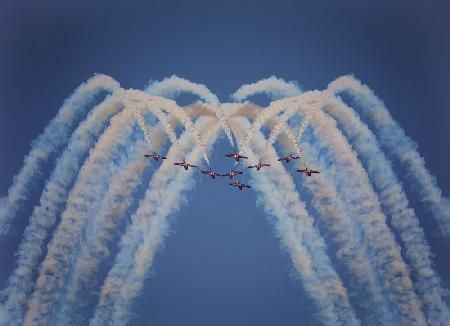 Snowbirds in my mind