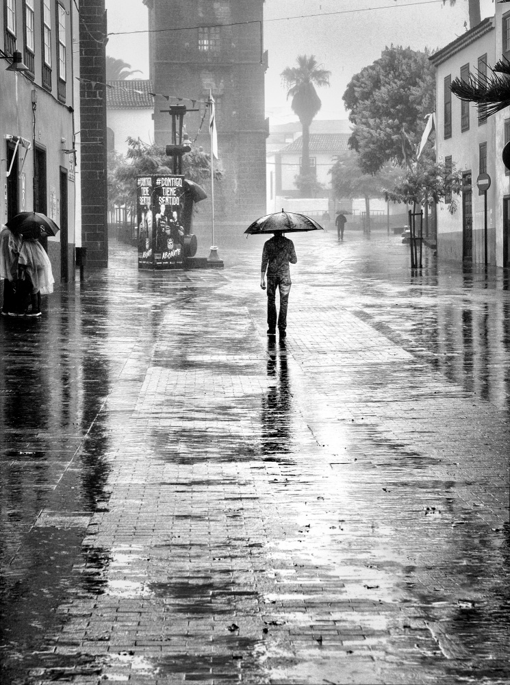 Rainy Days von Montserrat Alviani