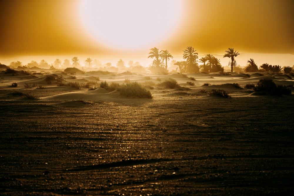 Nature in Gold von Mostafa Bahnasy